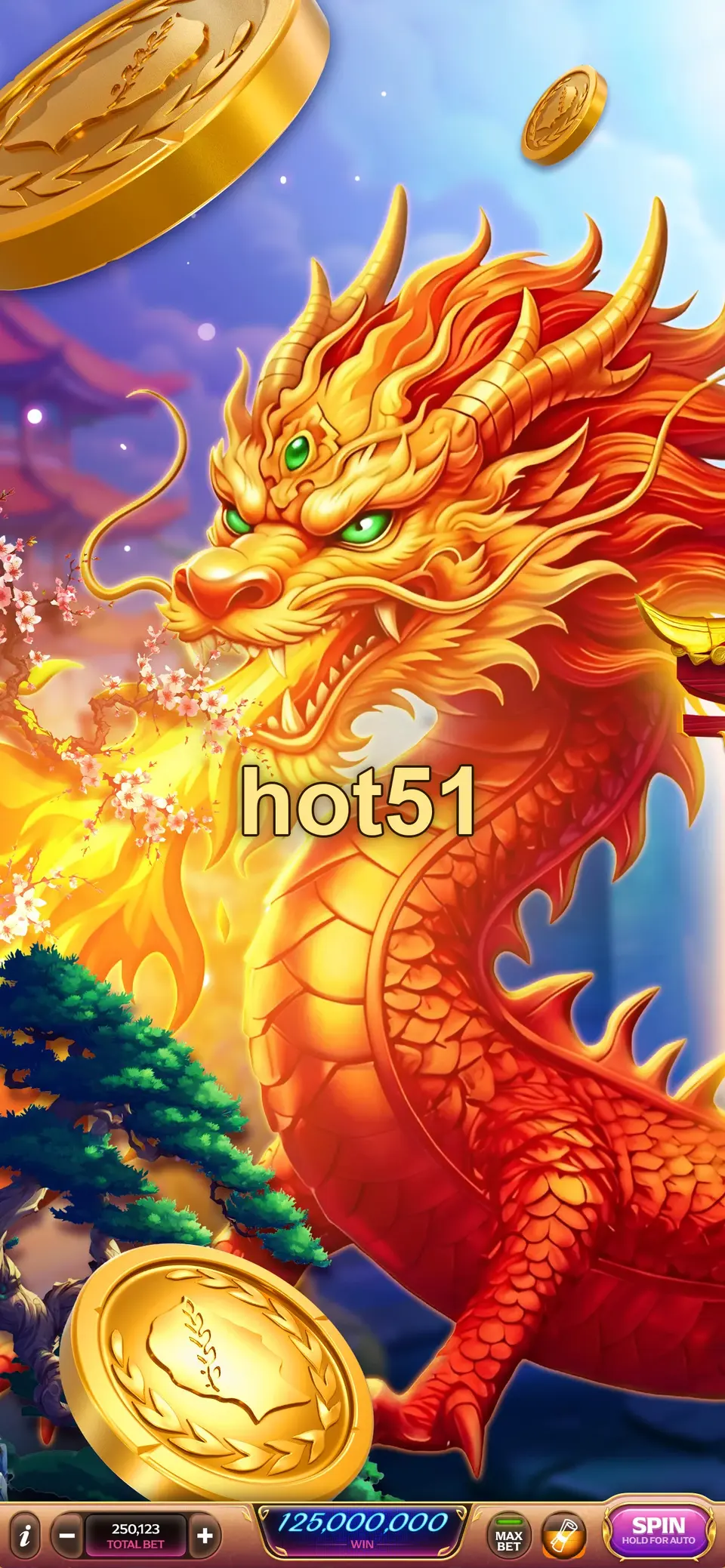 hot51 APK